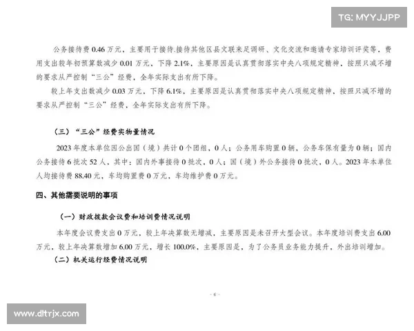 赛事承办费用,大型赛事经费预算规划与成本控制策略研究